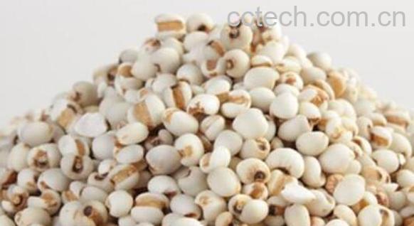 米仁的功效与作用 米仁的食用方法-0