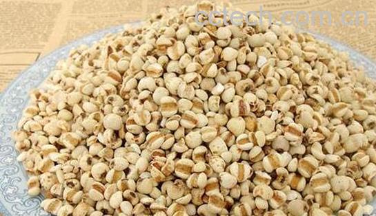 米仁的功效与作用 米仁的食用方法-1