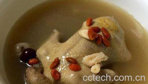 鸽子汤的功效与作用及做法-0