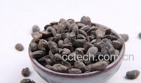 淡豆豉的功效与作用-0