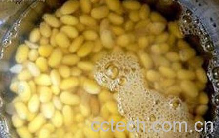 黄豆水的功效与作用 黄豆水的好处-0