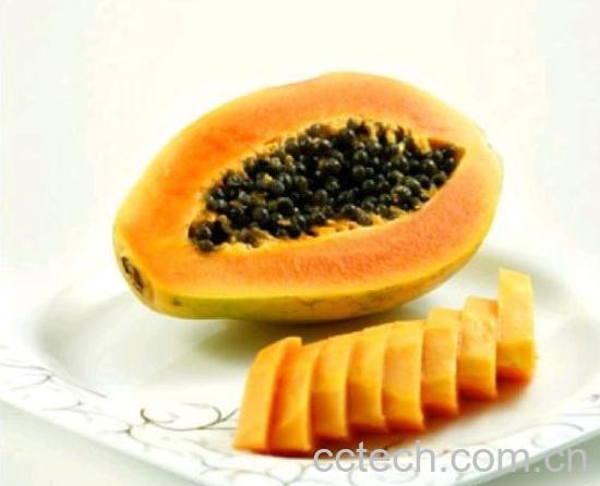 果蔬百科木瓜-0