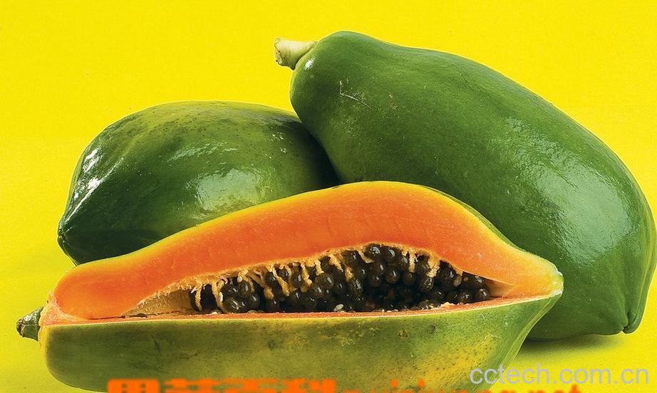 果蔬百科木瓜-0