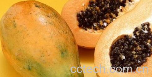 果蔬百科木瓜-0