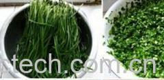 果蔬百科韭菜饺子馅-0