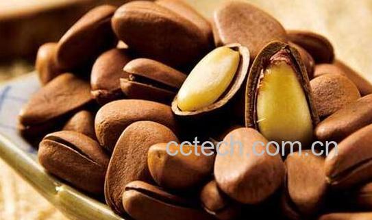 吃松子有什么好处与坏处-1