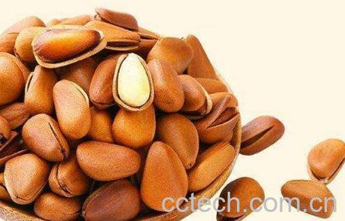 松子皮的功效与作用 吃松子的好处-1