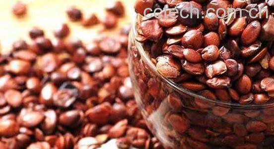 炒酸枣仁的功效与作用及禁忌症-0