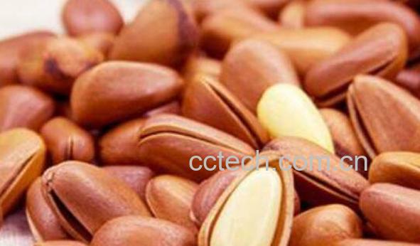 开口松子的功效与作用 松子的禁忌有哪些-0