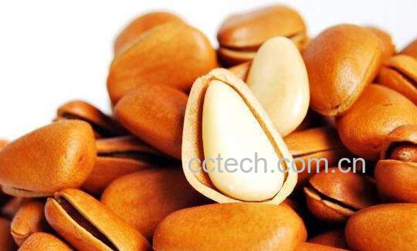 开口松子的功效与作用 松子的禁忌有哪些-1