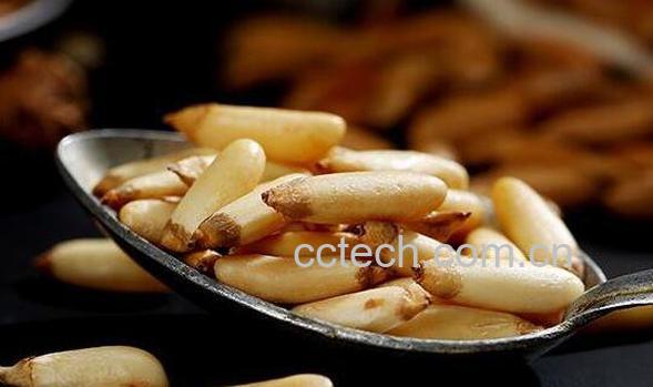 手剥松子的功效与作用-1