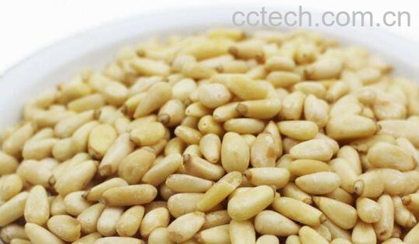 松子仁的功效与作用 吃松子仁的好处-1