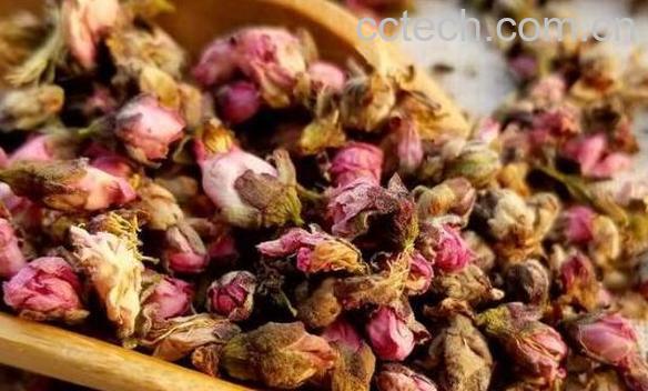 桃花茶的功效与作用有哪些 桃花茶的禁忌-1