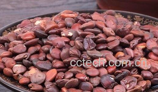 酸枣仁的功效作用与食用方法-0