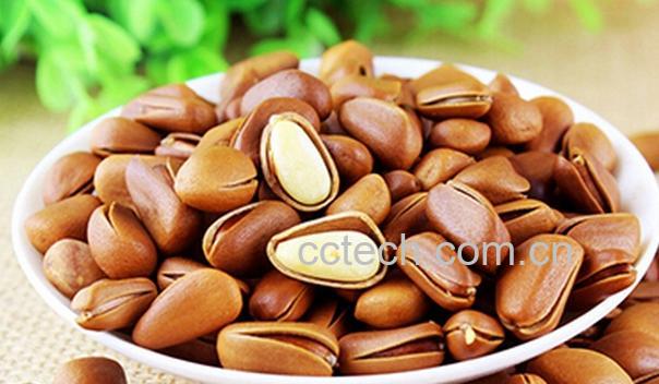 果蔬百科松子的营养价值与功效-0