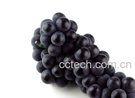 果蔬百科葡萄,葡萄酒-0