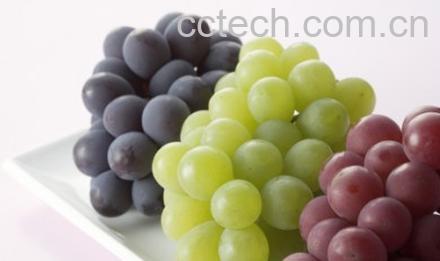 果蔬百科葡萄,葡萄酒-0
