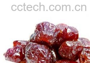 果蔬百科蜜枣-0