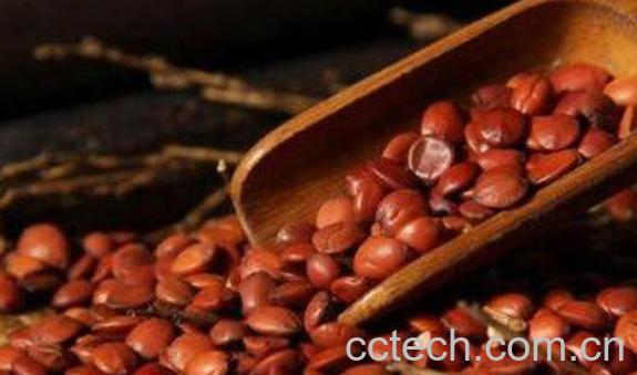 酸枣仁的功效与作用及禁忌-0