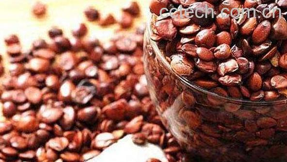 酸枣仁泡水喝的功效-1