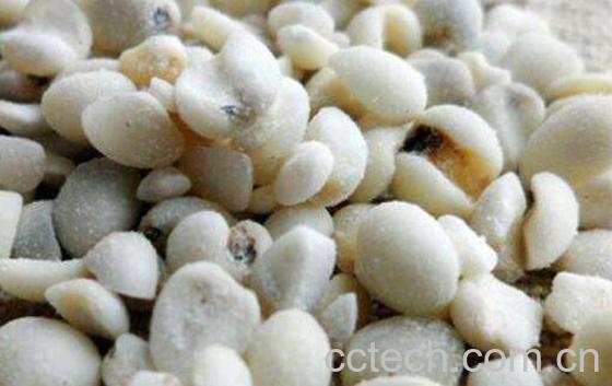 米仁的功效与作用及食用方法-0