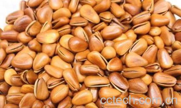 松子壳的功效和作用 松子壳的副作用-0